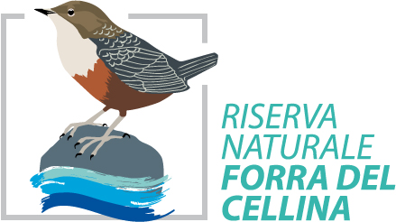 Riserva Naturale Forra del Cellina